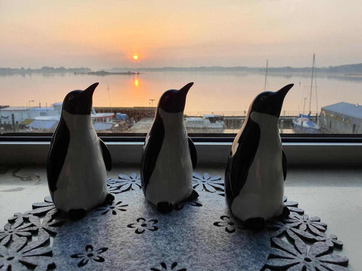 שלזוויג Ferienwohnung Schleiloge Mit Panoramablick Auf Die Schlei מראה חיצוני תמונה